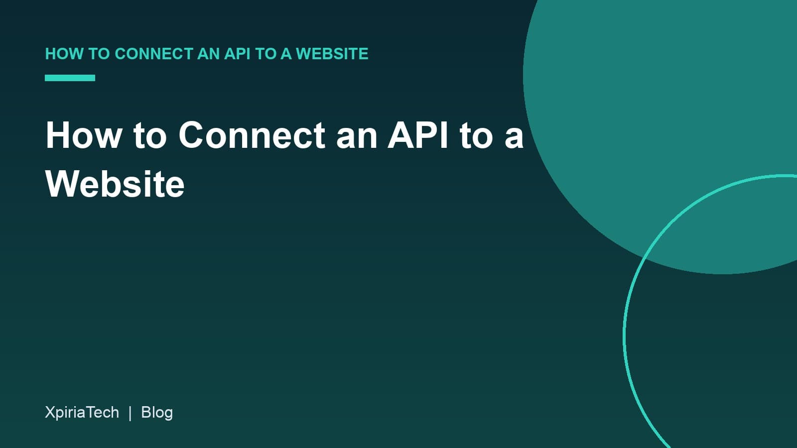 Cover graphic for the article: How to Connect an API to a Website