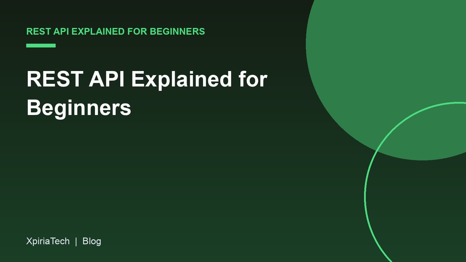 Cover graphic for the article: REST API Explained for Beginners